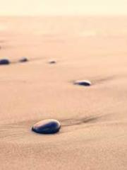 Meng Jinyu Gu Jingxi