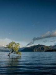 The Heavenly Physici