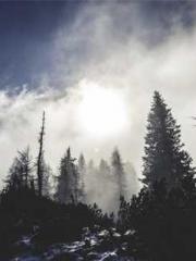 Lin Feng Lin Yun Yao