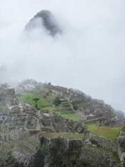 My seven stunning an