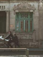 The Best Little Body