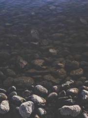 The Return of the Su