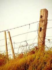 Yet, I became a powe