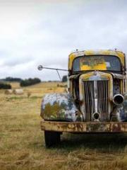 lt;Natural Disasters