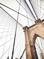 Rebirth as a Court A