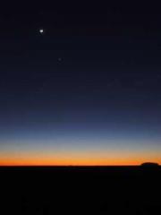 The Daring Wife of a