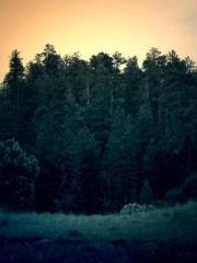 The Ugly Womanapos;s