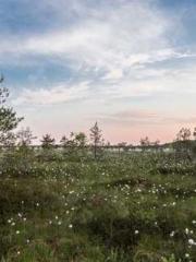 My seven stunning an