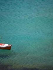 Lady Fiancée of the 