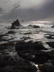 The Realm of the Dao