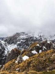 Rong Shao Nan Ning Y