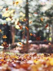 The Sovereign of the