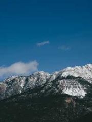 The Beloved Physicia