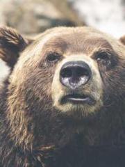 My Amazing Female Te