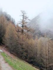 Shen Ning, Ran, Bo J