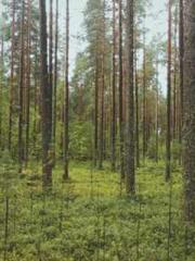 lt;The Dragon Discar