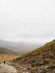 Cultivating My Empre