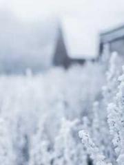 lt;The misfortune of