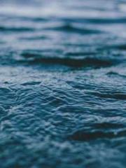 Eternal Sword Ancest