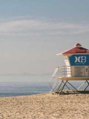 One Pregnancy, Two B