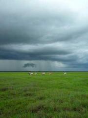 lt;lt;Waste Material