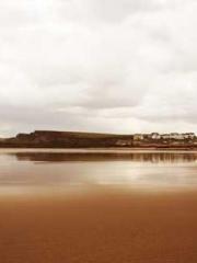 Reborn in 1989: Crea