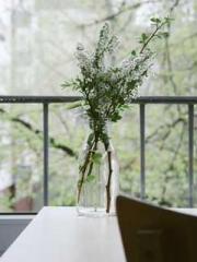 Wine, sex, money and