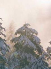 Fāng Chénlín Xuěyán