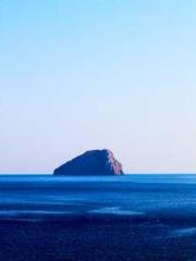 One Night Marriage P