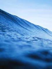 High School Campus S