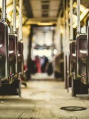 One Pregnancy, Two B