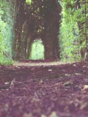 Do not deprive me of