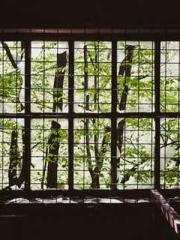 My stunning aunt lt;