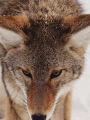 My stunning aunt lt;