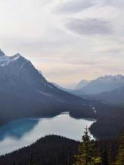 One person opens the