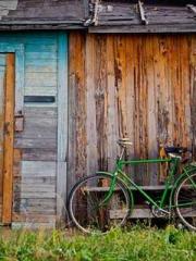 Become a big shot in