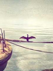 The Generalapos;s Hu