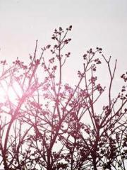 My pets are all amaz