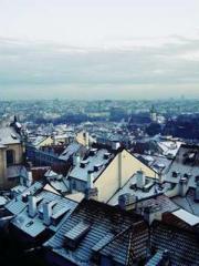 The Realm of the Dao