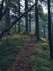 lt;lt;lt;Reborn Soar