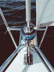 The Favorite Concubi