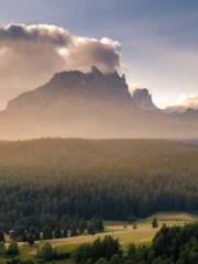 Mr. Gu, your wife is